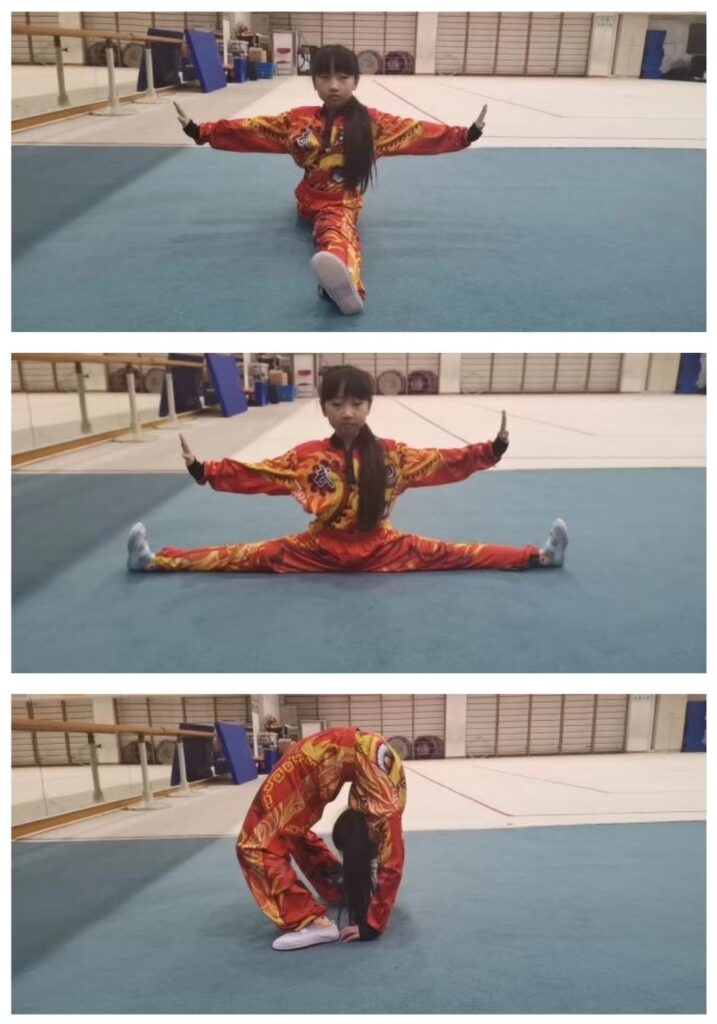 Wushu Basis